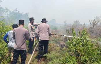 Karhutla di lahan gambut Desa Sepinggan, Kecamatan Semparuk semakin meluas. Relawan kesulitan padamkan api dengan alat seadanya, Senin 31 Juli 2023./Klik Sambas Media